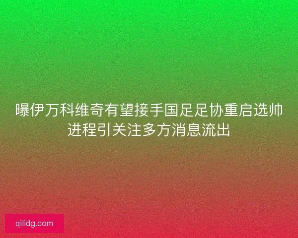 曝伊万科维奇有望接手国足足协重启选帅进程引关注多方消息流出