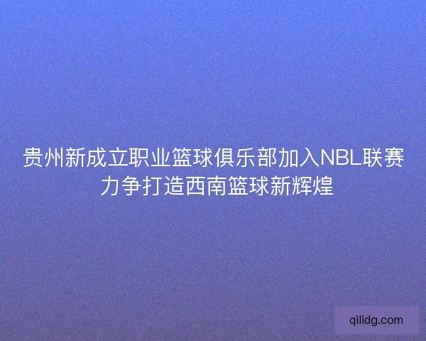贵州新成立职业篮球俱乐部加入NBL联赛 力争打造西南篮球新辉煌