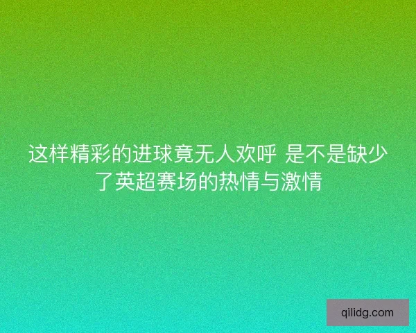 这样精彩的进球竟无人欢呼 是不是缺少了英超赛场的热情与激情